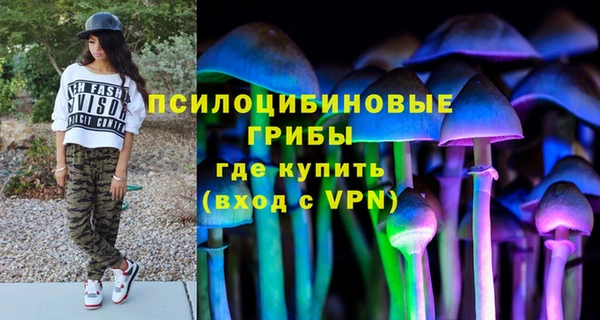 синтетический гашиш Алексеевка