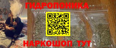 спайс Кинель