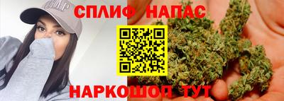 прущие крисы Кимры